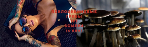 молекула духа Алексеевка