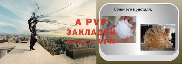 стаф Алексин