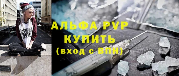 стаф Алексин