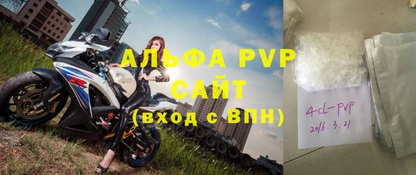 стаф Алексин