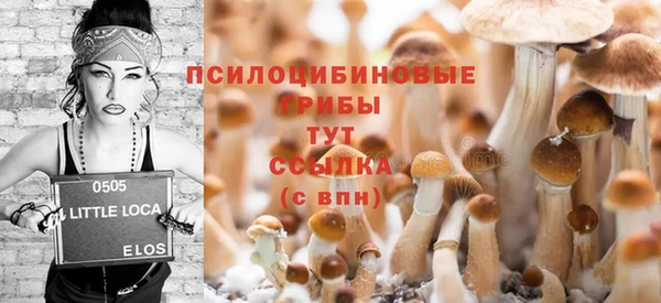молекула духа Алексеевка