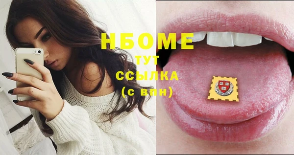 стаф Алексин