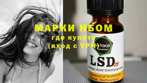 стаф Алексин
