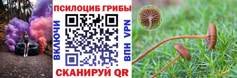 мега зеркало Кирсанов Псилоцибиновые грибы ЛСД